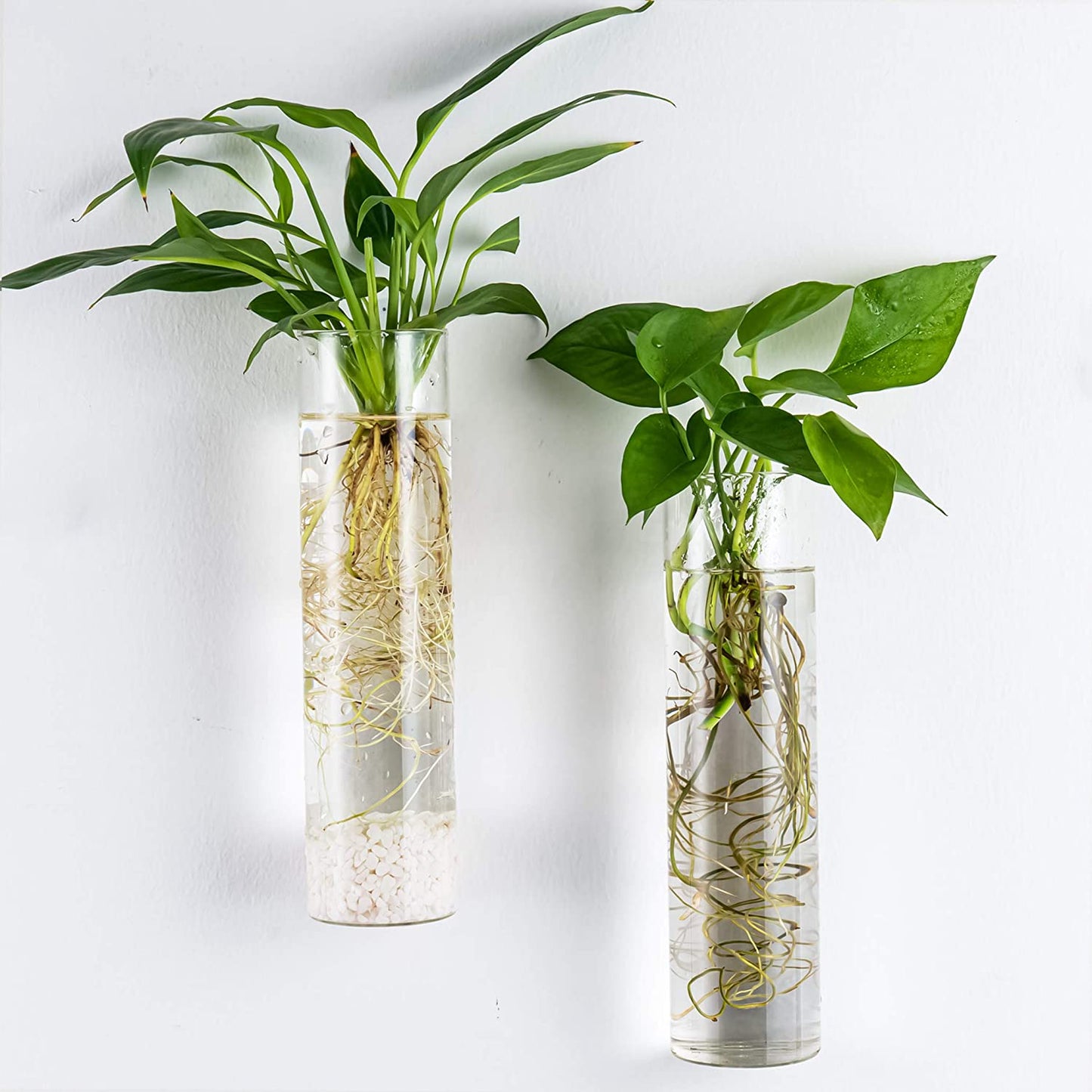 Wall-Mounted Plant Terrarium Propagation Station with Four Hanging Glass Tubes for Hydroponic Plants - Elegant Indoor Wall Vases and Decorative Planter for Home and Office Decor
