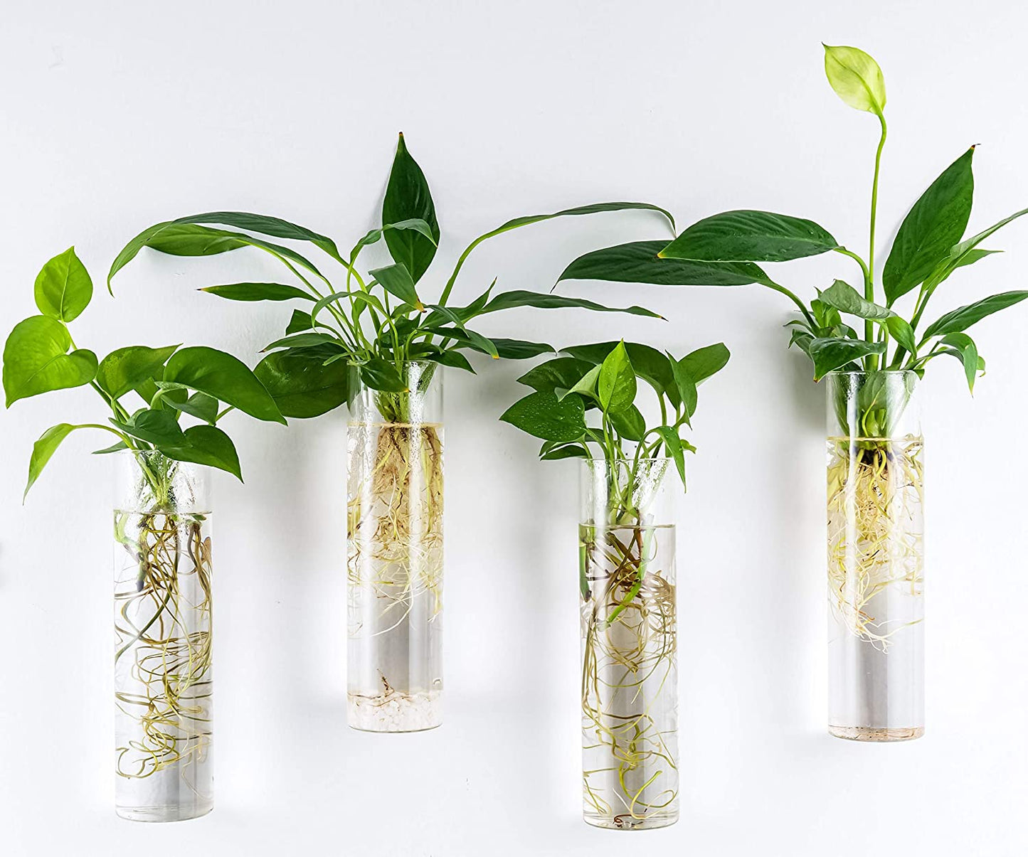 Wall-Mounted Plant Terrarium Propagation Station with Four Hanging Glass Tubes for Hydroponic Plants - Elegant Indoor Wall Vases and Decorative Planter for Home and Office Decor