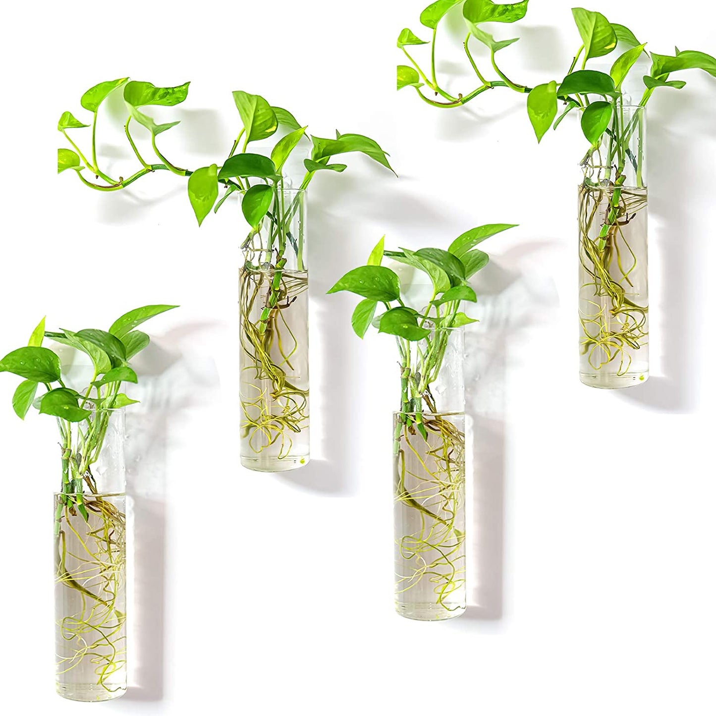 Wall-Mounted Plant Terrarium Propagation Station with Four Hanging Glass Tubes for Hydroponic Plants - Elegant Indoor Wall Vases and Decorative Planter for Home and Office Decor