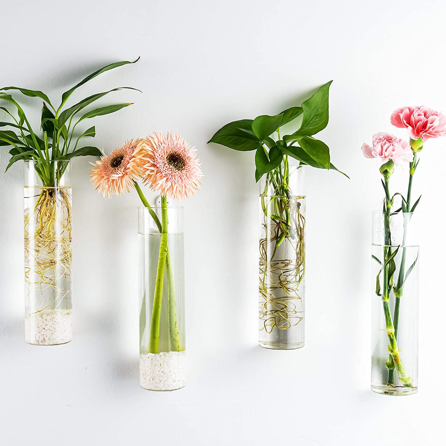Wall-Mounted Plant Terrarium Propagation Station with Four Hanging Glass Tubes for Hydroponic Plants - Elegant Indoor Wall Vases and Decorative Planter for Home and Office Decor