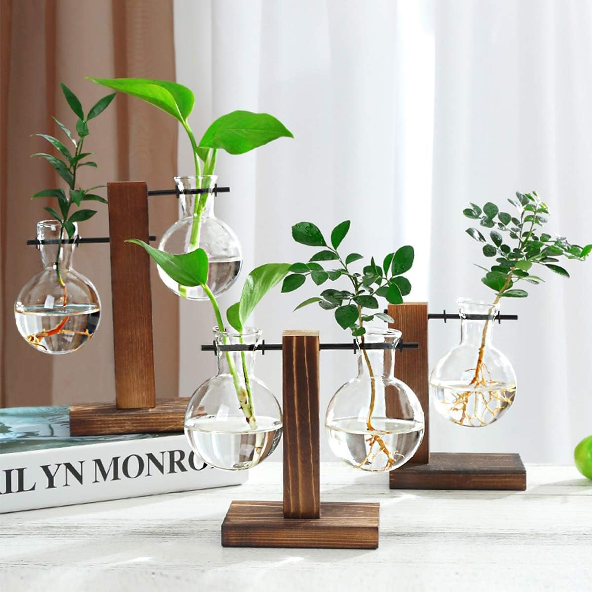 Hydroponic Glass Planter Vase with Wooden Stand - Elegant Terrarium-Style Floral Display for Office and Wedding Decor