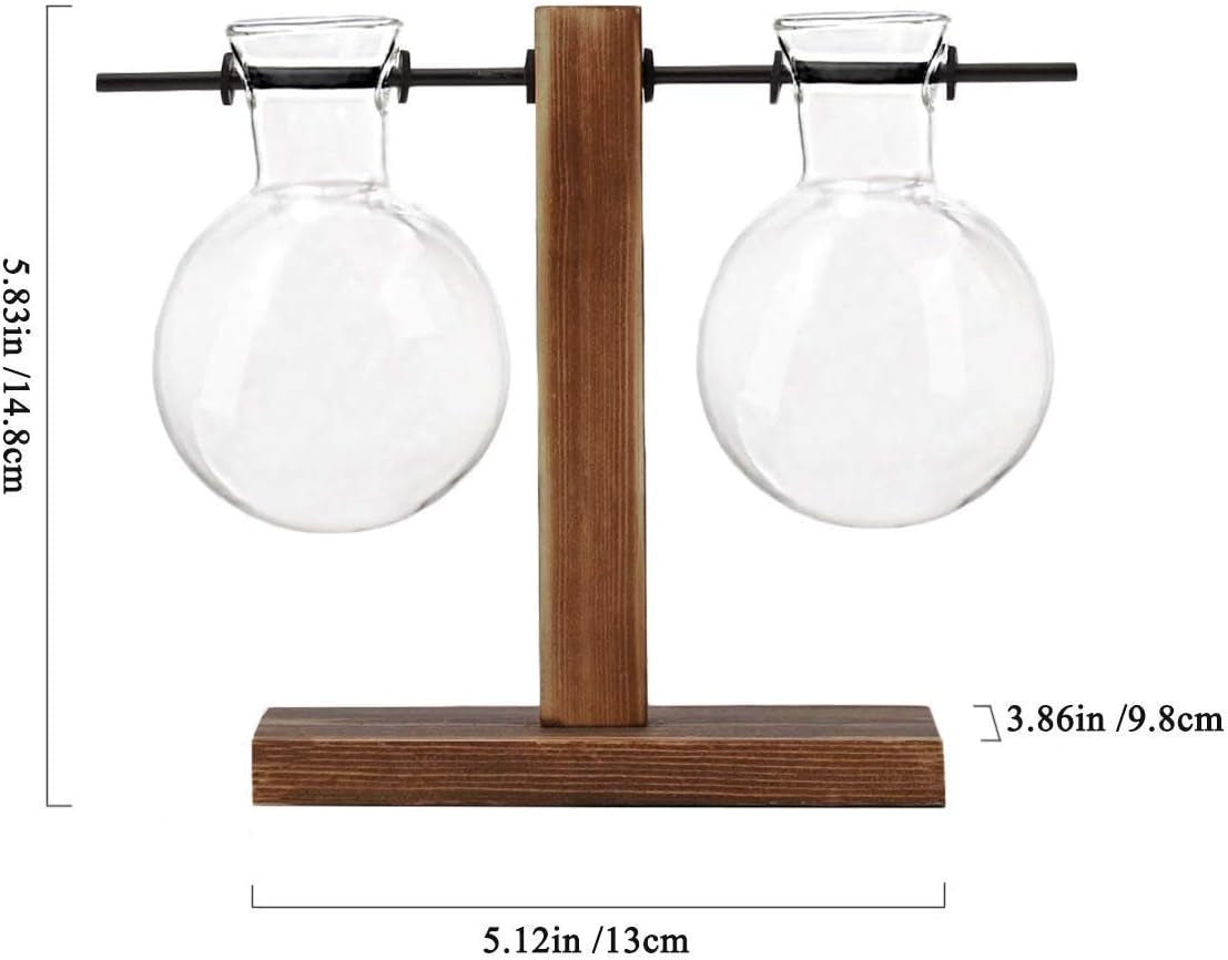 Hydroponic Glass Planter Vase with Wooden Stand - Elegant Terrarium-Style Floral Display for Office and Wedding Decor