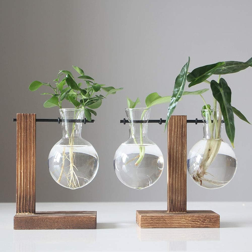 Hydroponic Glass Planter Vase with Wooden Stand - Elegant Terrarium-Style Floral Display for Office and Wedding Decor