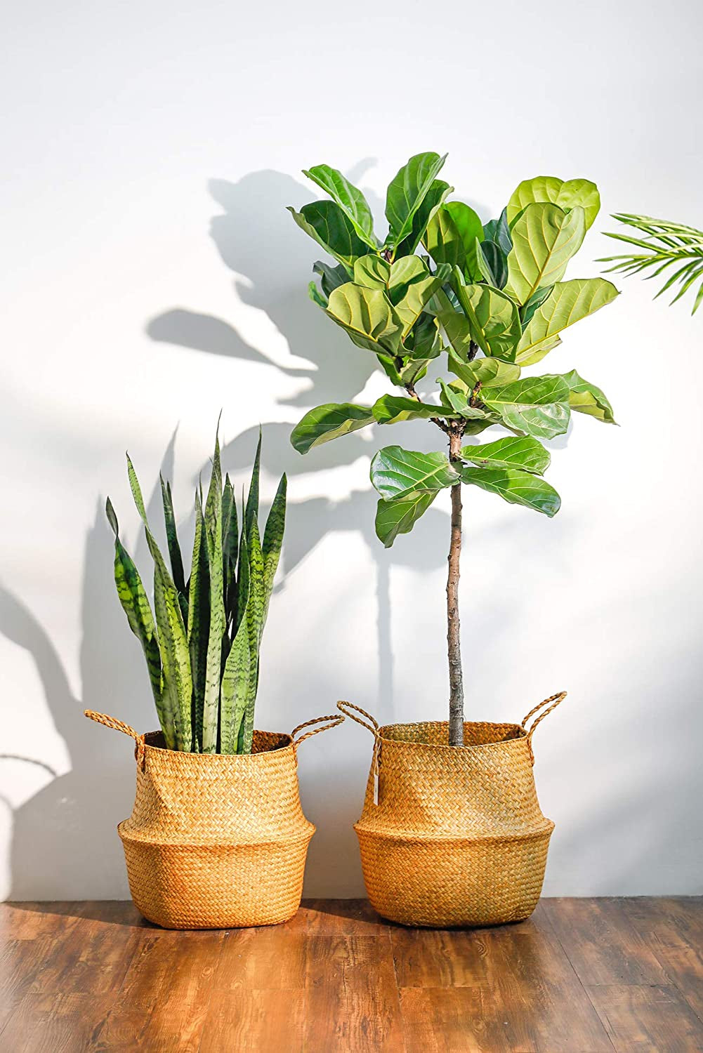 720303 Set of 2 Hand Woven Seagrass Plant Baskets with Handles - Versatile Storage Solution for Laundry, Picnics, Plant Pot Cover, Home Decor, and Beach Bag (Extra Large, Brown)