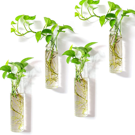 Wall-Mounted Plant Terrarium Propagation Station with Four Hanging Glass Tubes for Hydroponic Plants - Elegant Indoor Wall Vases and Decorative Planter for Home and Office Decor