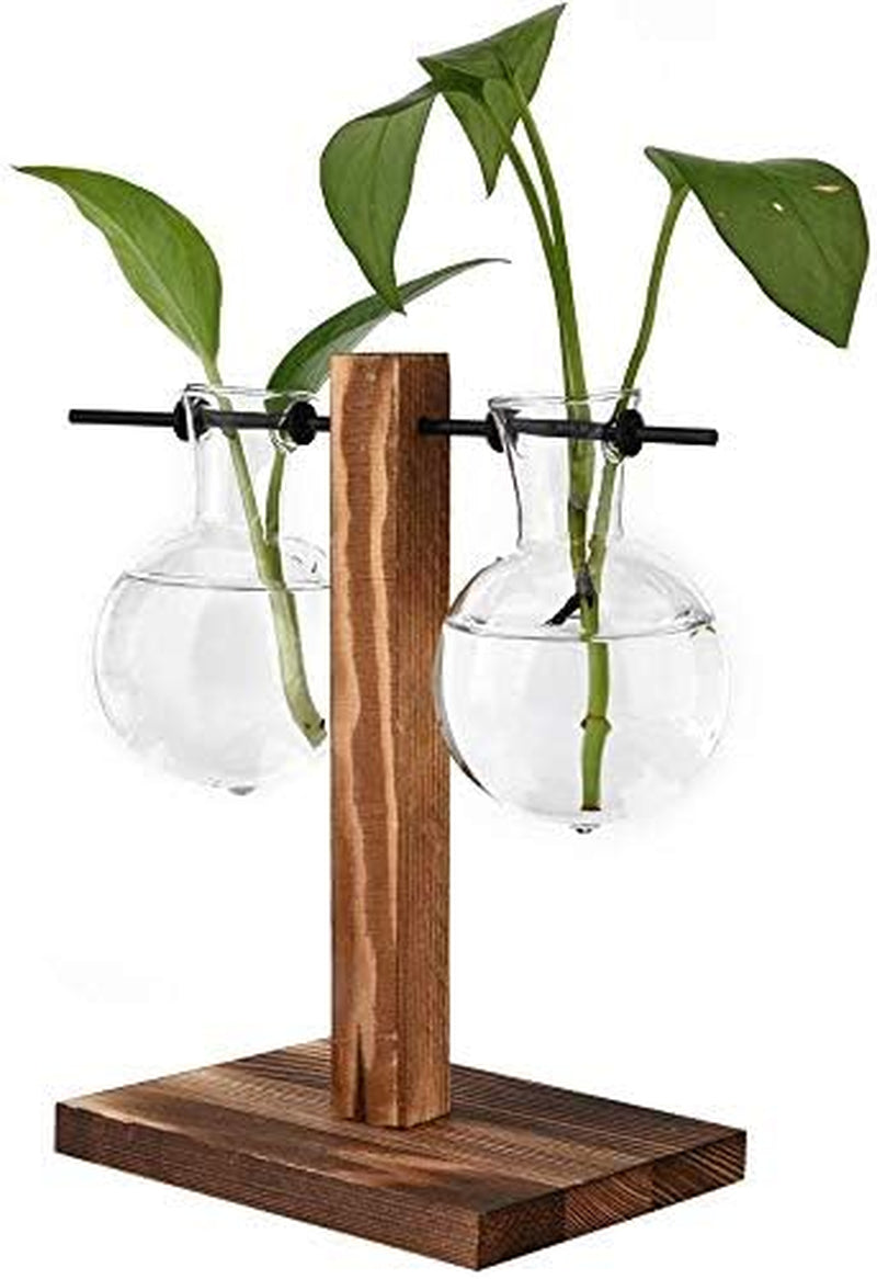 Hydroponic Glass Planter Vase with Wooden Stand - Elegant Terrarium-Style Floral Display for Office and Wedding Decor